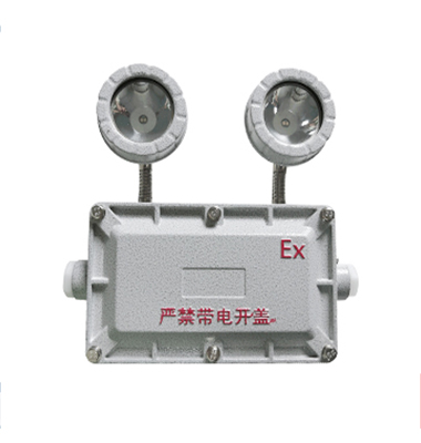 防爆消防應(yīng)急燈FL-ZFZD