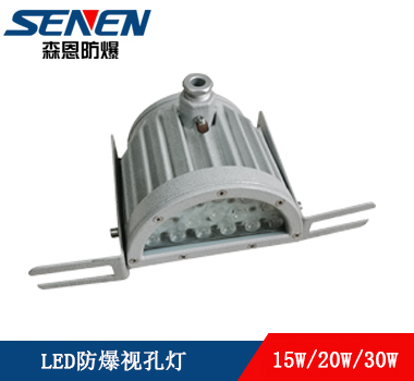 BSD反應釜LED防爆觀察燈led防爆視孔燈Led視鏡燈10W/20W /30W  