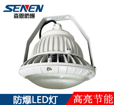 BAD85高亮節(jié)能LED防爆泛光燈 BAD85高亮節(jié)能LED防爆泛光燈